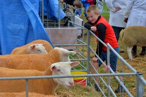 Burwarton Show