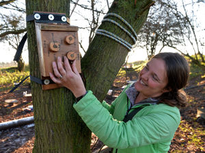 Supporting image for story: Sustainable 'escape room' hopes to attract crowds at Amerton Farm