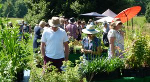 Cholmondeley Castle Gardens Summer Plant Hunters' fair