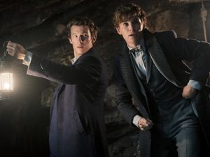 Supporting image for story: Is Fantastic Beasts: The Secrets Of Dumbledore worth the wait?