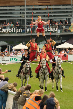 The Ukrainian Cossacks gravity-defying six-person human pyramids on horseback. Image by Andy Compton