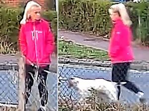 Supporting image for story: Man rearrested on suspicion of murder after dog walker dies