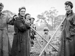 Supporting image for story: Ginny's gang were in a field of their own