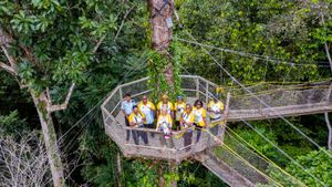 Batonbearers take the baton along the Iwokrama Canopy Walkway in Guyana