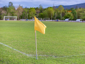 Supporting image for story: Halesowen 1 Coalville Town 3 - Report
