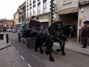 Supporting image for story: Crowds line Whitchurch streets for parade of horses