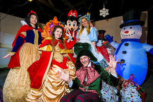 Supporting image for story: Telford Town Park winter wonderland will return