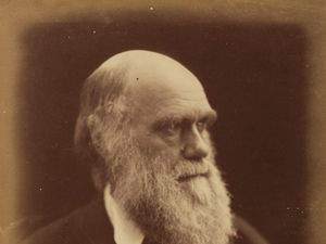 Supporting image for story: Rare Charles Darwin book to sell for £50,000