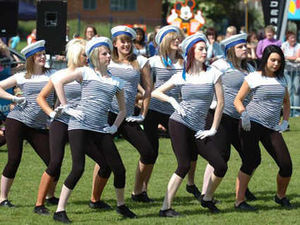 Supporting image for story: Tipton carninval - in pictures