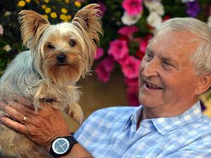 Supporting image for story: Let killer dogs live, says owner of savaged Yorkshire terrier Lilly