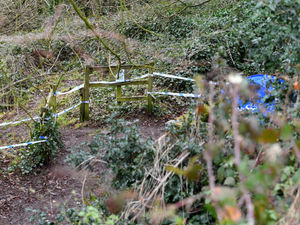 Supporting image for story: Gornal residents heard 'controlled explosions' during police search at woodland