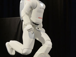 Supporting image for story: Mark Andrews: Free cars, a bad finger, and wait until the robots start rocking up in Calais