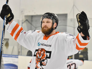 Supporting image for story: Telford Tigers sting Sutton to increase lead at the top