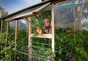 Bex Syrett tries to keep cool in the Fordhall Farm greenhouse