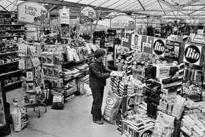 Bayleys Garden Centre, Shrewsbury, on March 14, 1980. 
