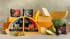 The cheese