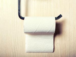 Supporting image for story: How a toilet roll on a Tinder profile reignited the internet’s fiercest debate