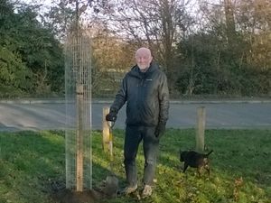 Supporting image for story: Oak trees to honour Shrewsbury's fallen
