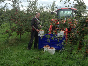 Supporting image for story: Harvesting the fruits of their labours