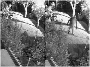 Supporting image for story: WATCH: Appeal to find thugs who threatened former prisoner of war during burglary