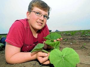 Supporting image for story: Shropshire student Henry, 14, has a growing business with pumpkins