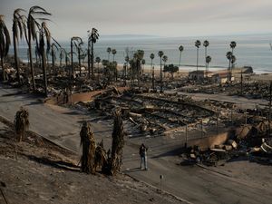 Supporting image for story: US actor James Woods describes ‘miracle’ of finding home standing in ‘hellscape’