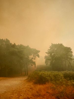 Visibility reduced as a result of the fire. PICTURE: Elliot Weaver