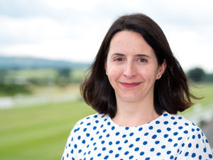 Supporting image for story: Foreign investment attracted to the Marches