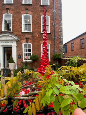 Ludlow Community Poppy Waterfall