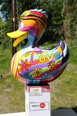 The giant ducks in Ironbridge. Photos: Shaun Dean