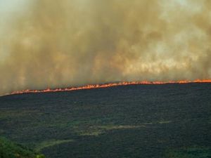 Supporting image for story: Special operation launched to cut number of gorse and grass fires over the summer