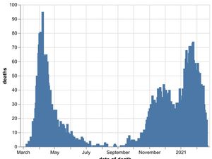Supporting image for story: 21 more coronavirus deaths across Black Country, Birmingham and Staffordshire