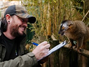 Supporting image for story: Telford zookeepers count hundreds of little heads - and tails - for 'stock take' with new baby animals on the way