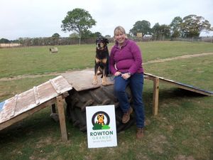 Supporting image for story: Shrewsbury business offers dog lovers safe space to exercise