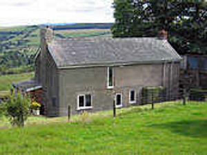 Supporting image for story: 49 acres at borderland farm