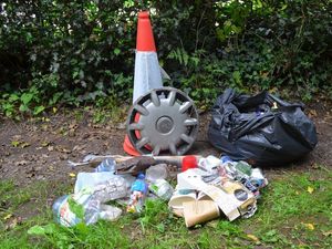 Supporting image for story: Litter pick volunteers clean up the hedgerows 