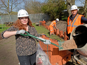Supporting image for story: Memorial garden for those lost to Covid-19 takes shape