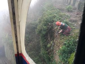 Supporting image for story: Overgrown vegetation closes Bridgnorth's cliff railway
