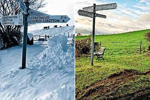 Supporting image for story: From coldest ever to a walk on the mild side