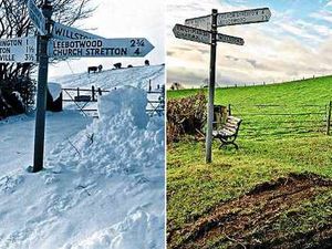 Supporting image for story: From coldest ever to a walk on the mild side