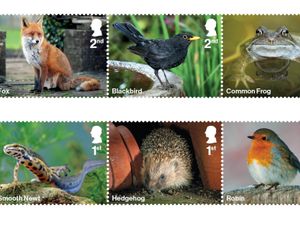 A selection of the garden wildlife stamps