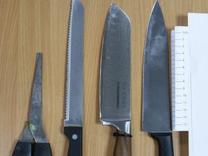 Supporting image for story: Knifemen gatecrash 18th birthday party in Walsall