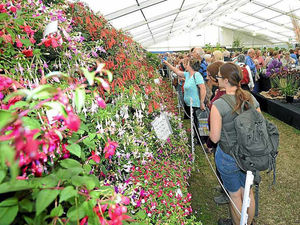 Supporting image for story: Shrewsbury Flower Show boss hits out at road closures