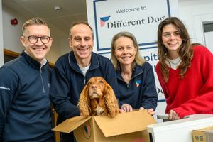 Different Dog founders Charlie and Alex Thurstan and their dog Crumble (centre), with Ryan Cartwright from Frontier Development Capital and Niamh Moody from Key Finance