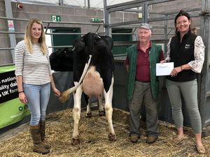 Supporting image for story: New record set for year as champion heifer sells at Shrewsbury dairy show 