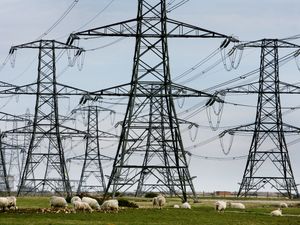 Supporting image for story: Government to buy part of National Grid to help meet climate targets