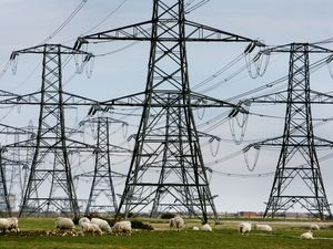 Supporting image for story: Government to buy part of National Grid to help meet climate targets