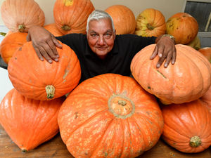 Supporting image for story: Meet the man with the giant pumpkins