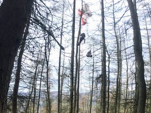 Supporting image for story: Tree rescue for paraglider