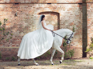 Supporting image for story: Wedding pictures a thing of fantasy for Shropshire horse lovers